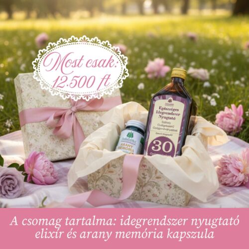 Nyugalom & Memória – A közös harmónia pillanatai
